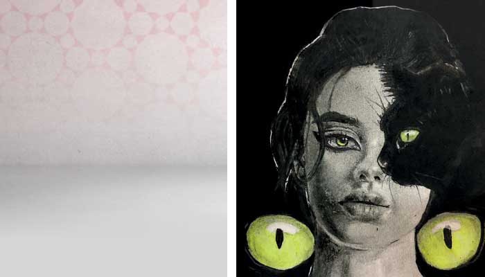 القط الأسود